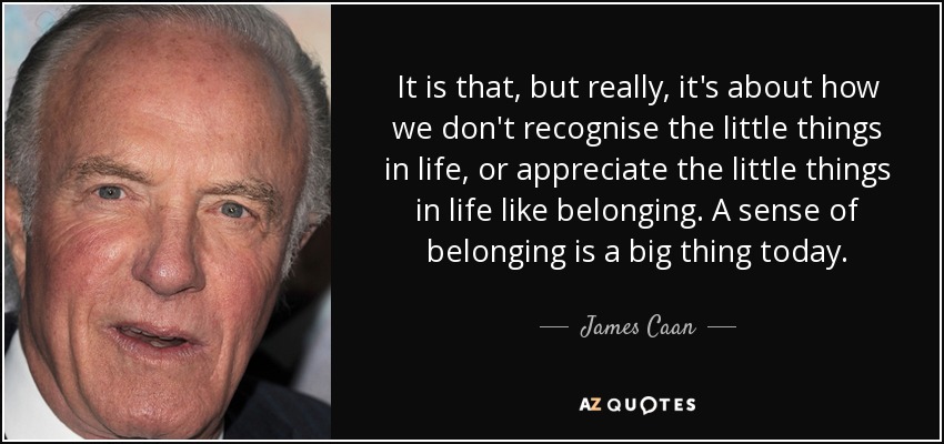 It is that, but really, it's about how we don't recognise the little things in life, or appreciate the little things in life like belonging. A sense of belonging is a big thing today. - James Caan