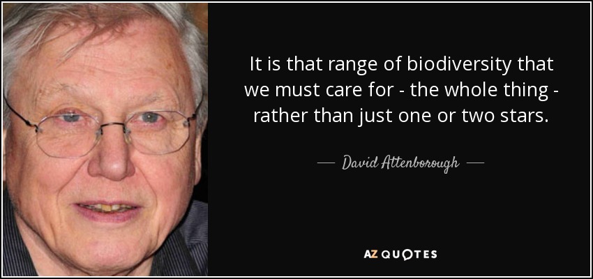 It is that range of biodiversity that we must care for - the whole thing - rather than just one or two stars. - David Attenborough