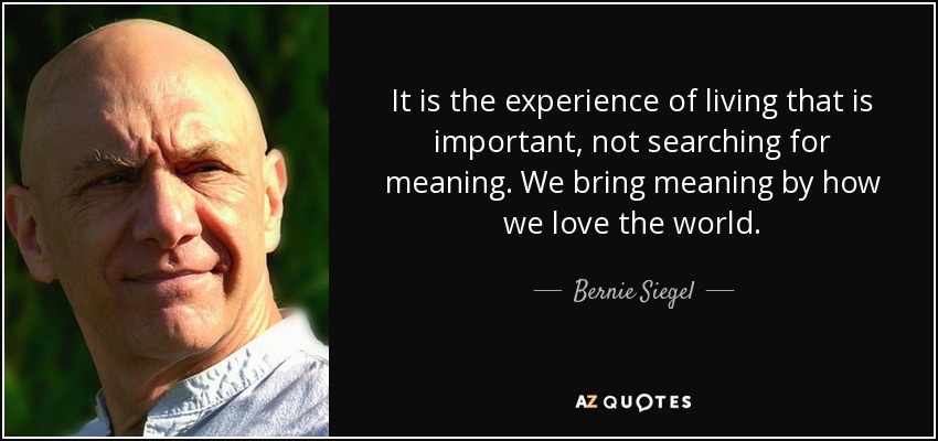 It is the experience of living that is important, not searching for meaning. We bring meaning by how we love the world. - Bernie Siegel