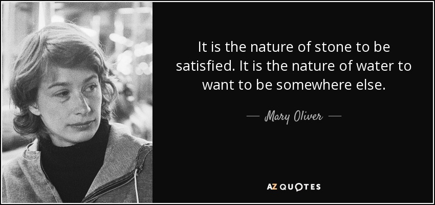 It is the nature of stone to be satisfied. It is the nature of water to want to be somewhere else. - Mary Oliver