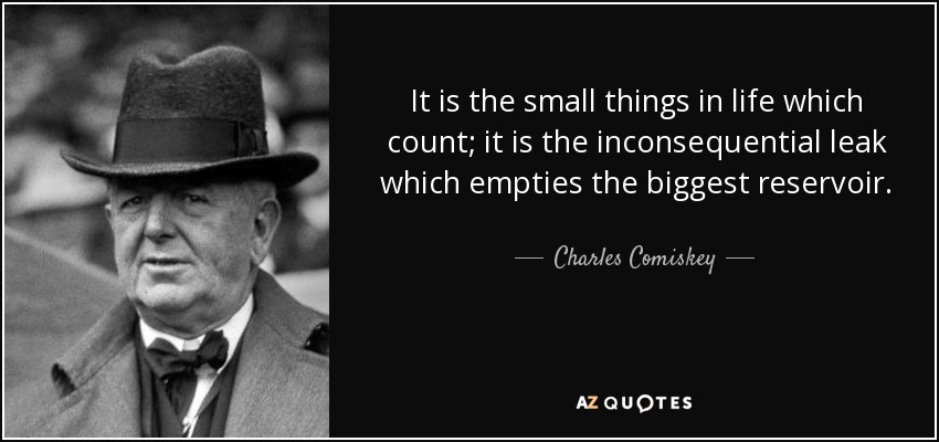 It is the small things in life which count; it is the inconsequential leak which empties the biggest reservoir. - Charles Comiskey