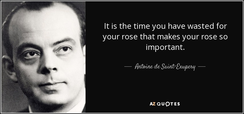 It is the time you have wasted for your rose that makes your rose so important. - Antoine de Saint-Exupery