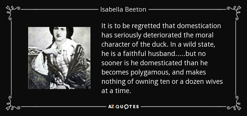 It is to be regretted that domestication has seriously deteriorated the moral character of the duck. In a wild state, he is a faithful husband.....but no sooner is he domesticated than he becomes polygamous, and makes nothing of owning ten or a dozen wives at a time. - Isabella Beeton