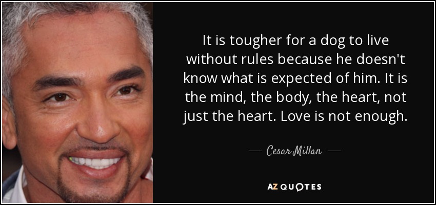 It is tougher for a dog to live without rules because he doesn't know what is expected of him. It is the mind, the body, the heart, not just the heart. Love is not enough. - Cesar Millan