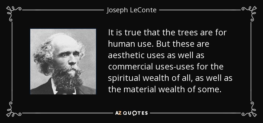 It is true that the trees are for human use. But these are aesthetic uses as well as commercial uses-uses for the spiritual wealth of all, as well as the material wealth of some. - Joseph LeConte