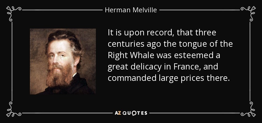 It is upon record, that three centuries ago the tongue of the Right Whale was esteemed a great delicacy in France, and commanded large prices there. - Herman Melville