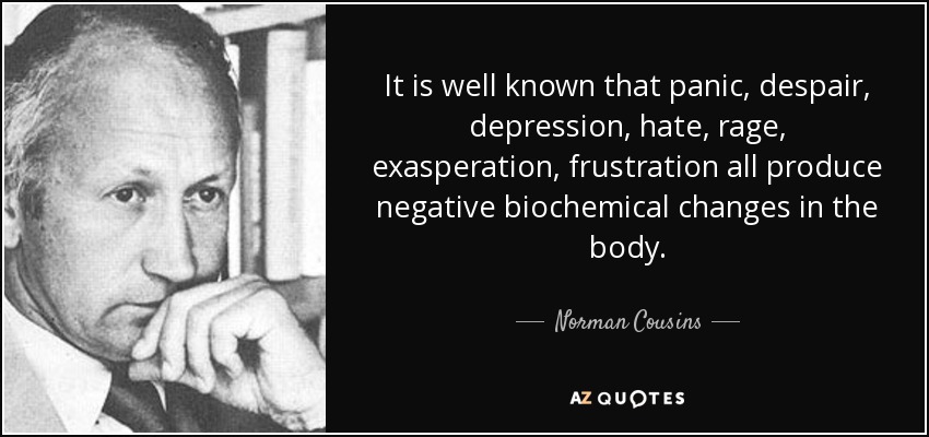 It is well known that panic, despair, depression, hate, rage, exasperation, frustration all produce negative biochemical changes in the body. - Norman Cousins