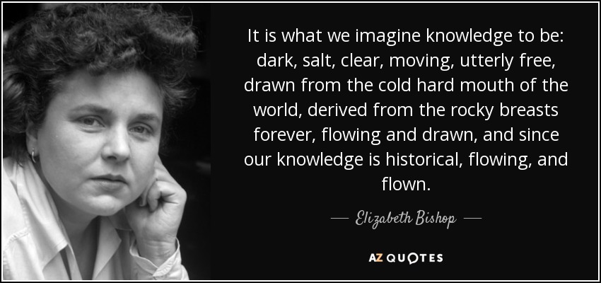 It is what we imagine knowledge to be: dark, salt, clear, moving, utterly free, drawn from the cold hard mouth of the world, derived from the rocky breasts forever, flowing and drawn, and since our knowledge is historical, flowing, and flown. - Elizabeth Bishop