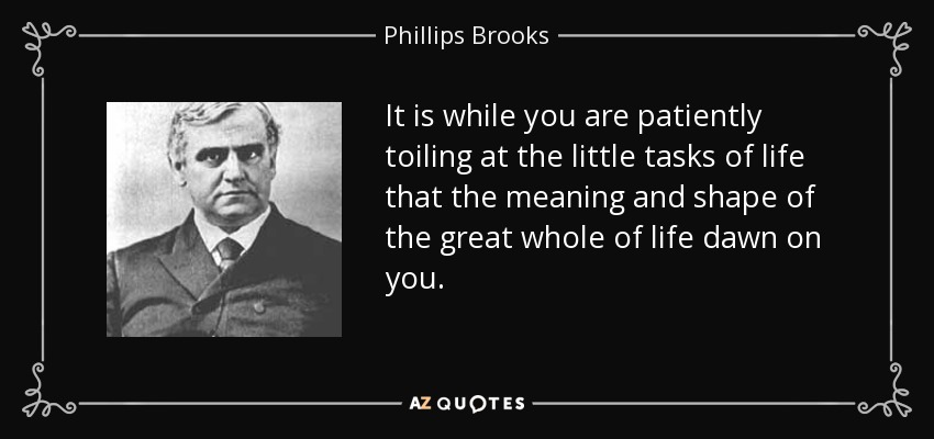 It is while you are patiently toiling at the little tasks of life that the meaning and shape of the great whole of life dawn on you. - Phillips Brooks