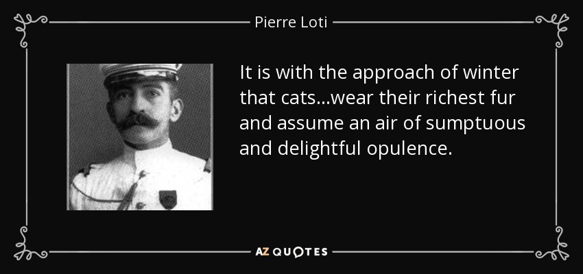 It is with the approach of winter that cats...wear their richest fur and assume an air of sumptuous and delightful opulence. - Pierre Loti
