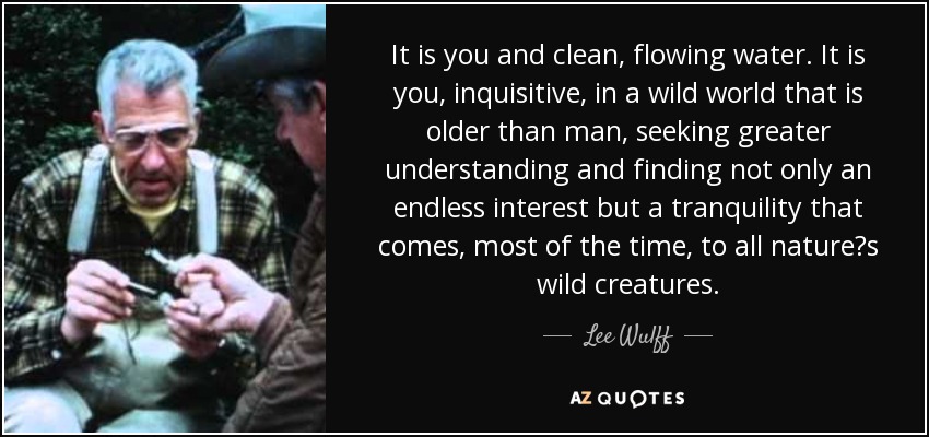 It is you and clean, flowing water. It is you, inquisitive, in a wild world that is older than man, seeking greater understanding and finding not only an endless interest but a tranquility that comes, most of the time, to all nature?s wild creatures. - Lee Wulff