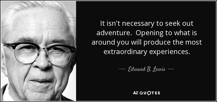 It isn't necessary to seek out adventure. Opening to what is around you will produce the most extraordinary experiences. - Edward B. Lewis