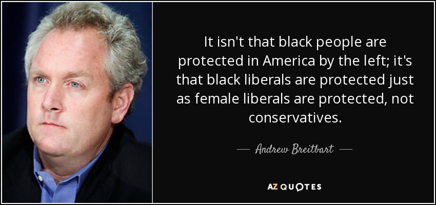 It isn't that black people are protected in America by the left; it's that black liberals are protected just as female liberals are protected, not conservatives. - Andrew Breitbart