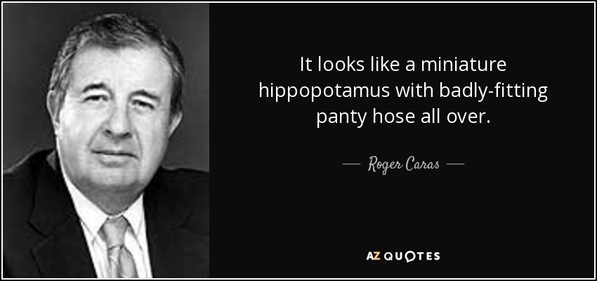 It looks like a miniature hippopotamus with badly-fitting panty hose all over. - Roger Caras