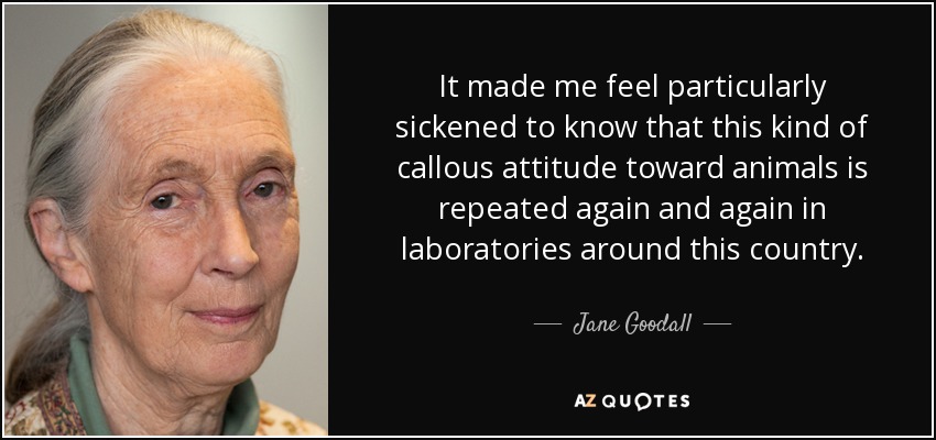It made me feel particularly sickened to know that this kind of callous attitude toward animals is repeated again and again in laboratories around this country. - Jane Goodall