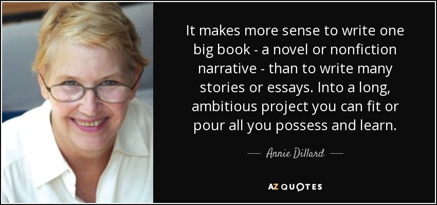 It makes more sense to write one big book - a novel or nonfiction narrative - than to write many stories or essays. Into a long, ambitious project you can fit or pour all you possess and learn. - Annie Dillard