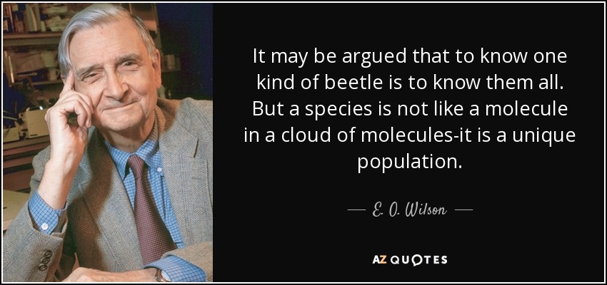 It may be argued that to know one kind of beetle is to know them all. But a species is not like a molecule in a cloud of molecules-it is a unique population. - E. O. Wilson