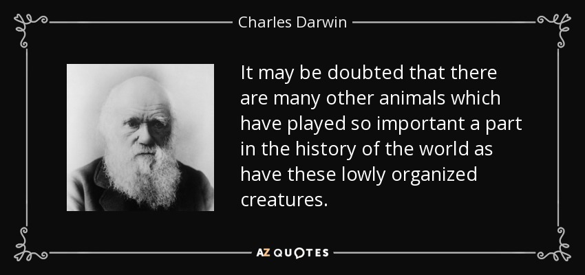 It may be doubted that there are many other animals which have played so important a part in the history of the world as have these lowly organized creatures. - Charles Darwin