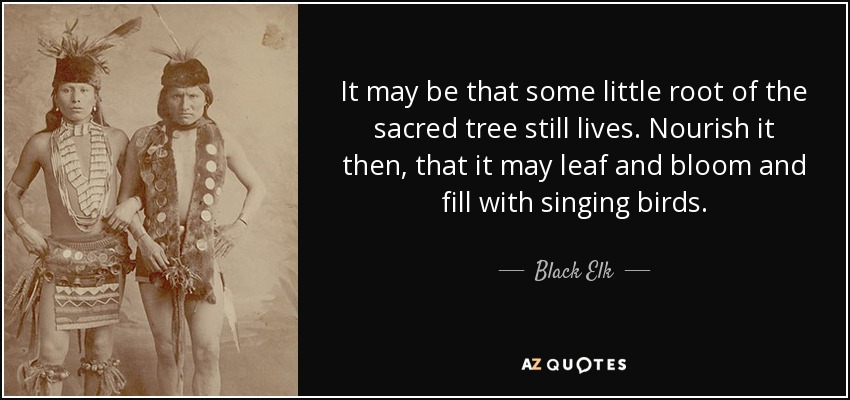 It may be that some little root of the sacred tree still lives. Nourish it then, that it may leaf and bloom and fill with singing birds. - Black Elk
