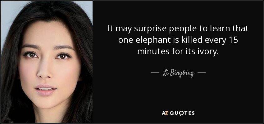 It may surprise people to learn that one elephant is killed every 15 minutes for its ivory. - Li Bingbing