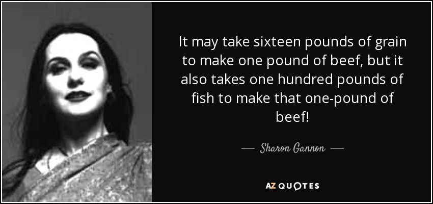 It may take sixteen pounds of grain to make one pound of beef, but it also takes one hundred pounds of fish to make that one-pound of beef! - Sharon Gannon