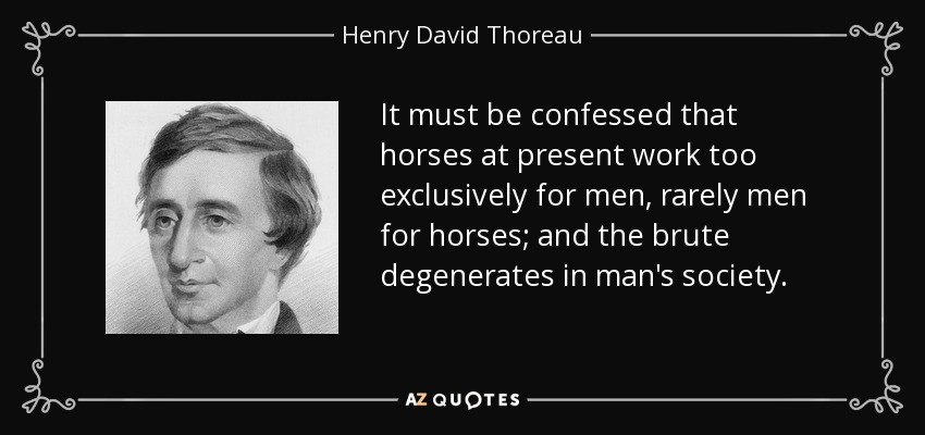 It must be confessed that horses at present work too exclusively for men, rarely men for horses; and the brute degenerates in man's society. - Henry David Thoreau