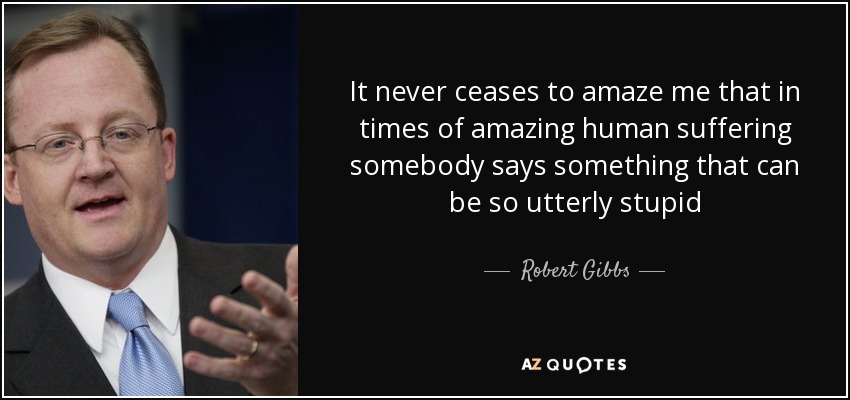 It never ceases to amaze me that in times of amazing human suffering somebody says something that can be so utterly stupid - Robert Gibbs