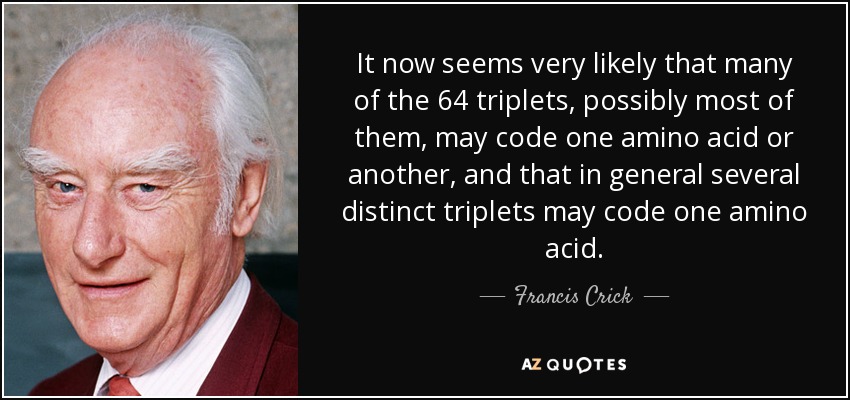 It now seems very likely that many of the 64 triplets, possibly most of them, may code one amino acid or another, and that in general several distinct triplets may code one amino acid. - Francis Crick