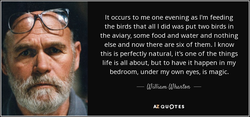 It occurs to me one evening as I'm feeding the birds that all I did was put two birds in the aviary, some food and water and nothing else and now there are six of them. I know this is perfectly natural, it's one of the things life is all about, but to have it happen in my bedroom, under my own eyes, is magic. - William Wharton