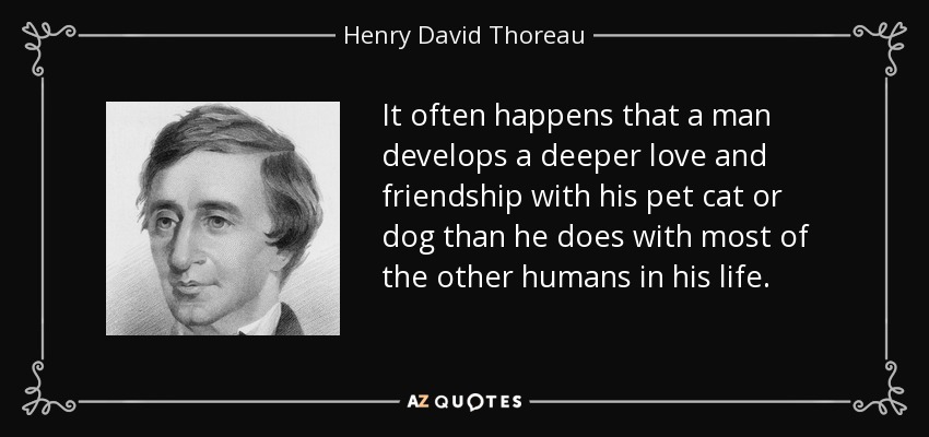 It often happens that a man develops a deeper love and friendship with his pet cat or dog than he does with most of the other humans in his life. - Henry David Thoreau