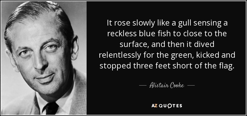 It rose slowly like a gull sensing a reckless blue fish to close to the surface, and then it dived relentlessly for the green, kicked and stopped three feet short of the flag. - Alistair Cooke