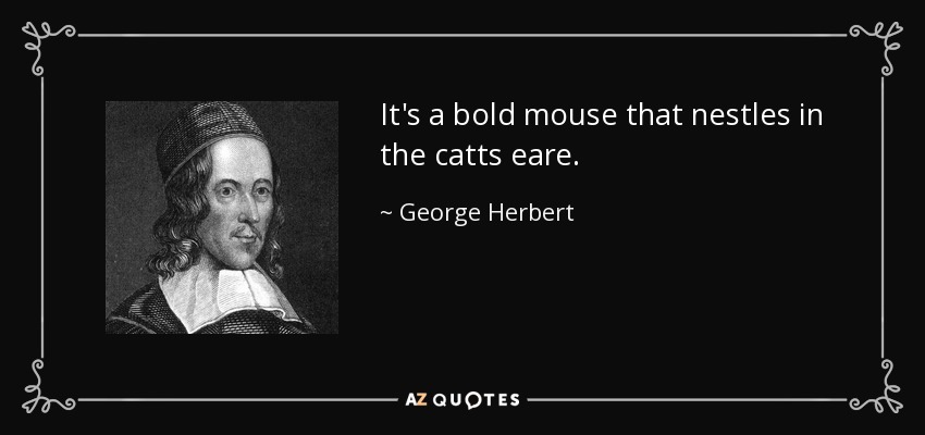 It's a bold mouse that nestles in the catts eare. - George Herbert