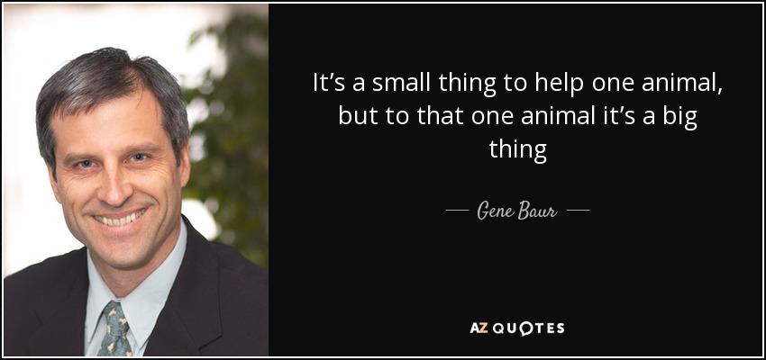 It’s a small thing to help one animal, but to that one animal it’s a big thing - Gene Baur