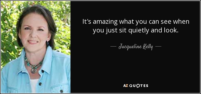 It's amazing what you can see when you just sit quietly and look. - Jacqueline Kelly