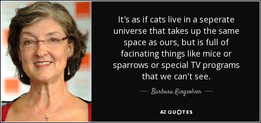 It's as if cats live in a seperate universe that takes up the same space as ours, but is full of facinating things like mice or sparrows or special TV programs that we can't see. - Barbara Kingsolver