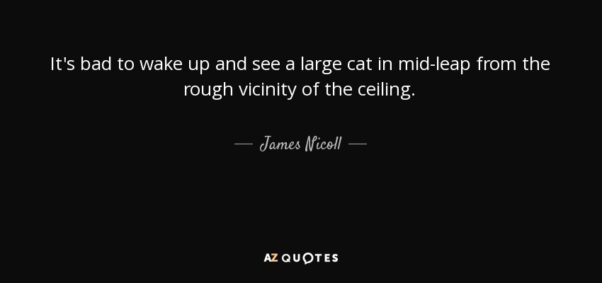 It's bad to wake up and see a large cat in mid-leap from the rough vicinity of the ceiling. - James Nicoll