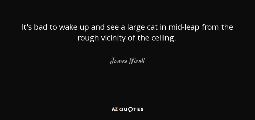 It's bad to wake up and see a large cat in mid-leap from the rough vicinity of the ceiling. - James Nicoll