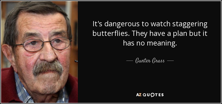 It's dangerous to watch staggering butterflies. They have a plan but it has no meaning. - Gunter Grass