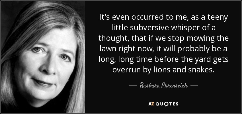 It's even occurred to me, as a teeny little subversive whisper of a thought, that if we stop mowing the lawn right now, it will probably be a long, long time before the yard gets overrun by lions and snakes. - Barbara Ehrenreich