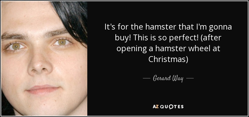 It's for the hamster that I'm gonna buy! This is so perfect! (after opening a hamster wheel at Christmas) - Gerard Way
