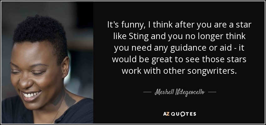 It's funny, I think after you are a star like Sting and you no longer think you need any guidance or aid - it would be great to see those stars work with other songwriters. - Meshell Ndegeocello
