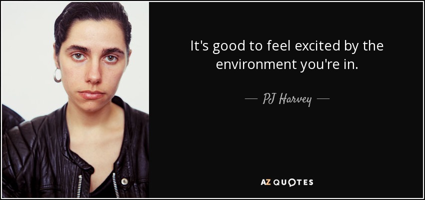It's good to feel excited by the environment you're in. - PJ Harvey