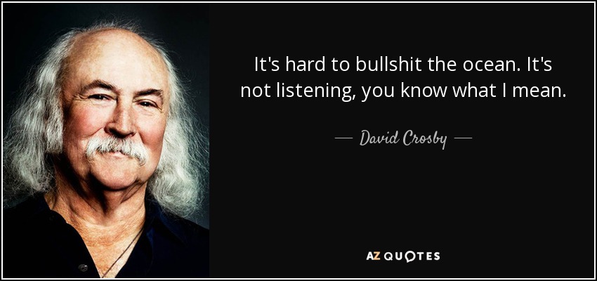 It's hard to bullshit the ocean. It's not listening, you know what I mean. - David Crosby