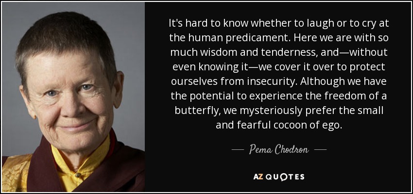 It's hard to know whether to laugh or to cry at the human predicament. Here we are with so much wisdom and tenderness, and—without even knowing it—we cover it over to protect ourselves from insecurity. Although we have the potential to experience the freedom of a butterfly, we mysteriously prefer the small and fearful cocoon of ego. - Pema Chodron