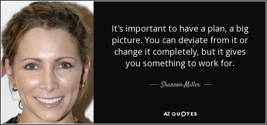 It's important to have a plan, a big picture. You can deviate from it or change it completely, but it gives you something to work for. - Shannon Miller