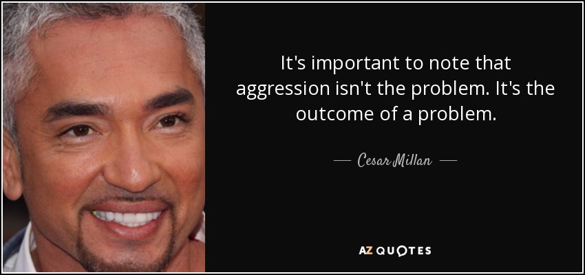 It's important to note that aggression isn't the problem. It's the outcome of a problem. - Cesar Millan