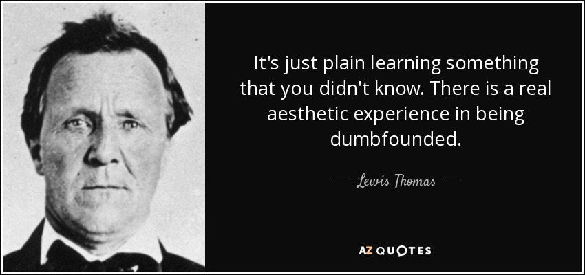 It's just plain learning something that you didn't know. There is a real aesthetic experience in being dumbfounded. - Lewis Thomas