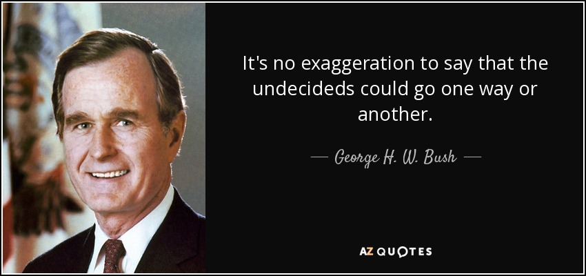 It's no exaggeration to say that the undecideds could go one way or another. - George H. W. Bush