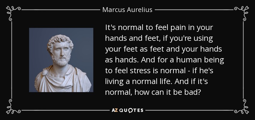 It's normal to feel pain in your hands and feet, if you're using your feet as feet and your hands as hands. And for a human being to feel stress is normal - if he's living a normal life. And if it's normal, how can it be bad? - Marcus Aurelius