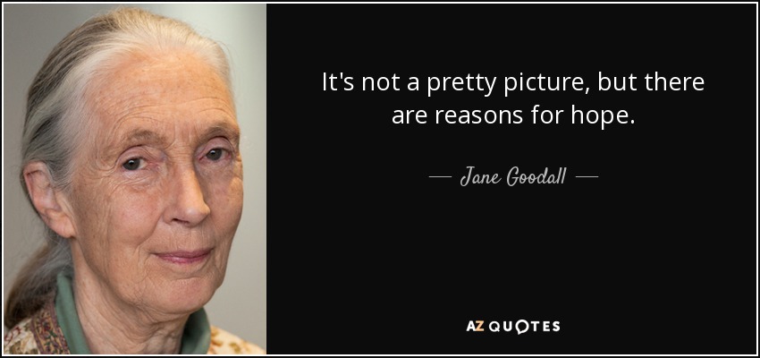 It's not a pretty picture, but there are reasons for hope. - Jane Goodall